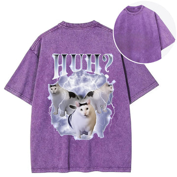 Personality fashion Huh Cat Chonky Ben Meme Back Washed T-Shirt