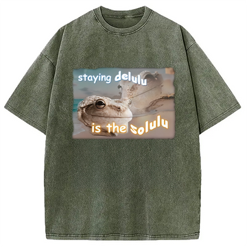 Personality fashion Staying Delulu Is The Solulu Frog Meme Washed T-Shirt