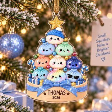 Personalized Squishy Ornament, Custom Name Christmas Ornament, Cute Squishy Lover Gift, Kids Christmas Ornament, Boy Girl Xmas Gift 2026