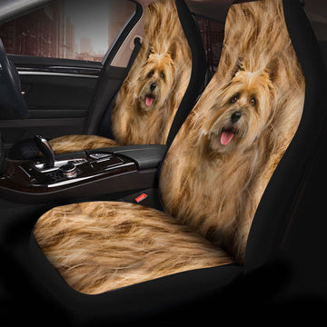 Cairn Terrier Dog Funny Face Car Seat Covers