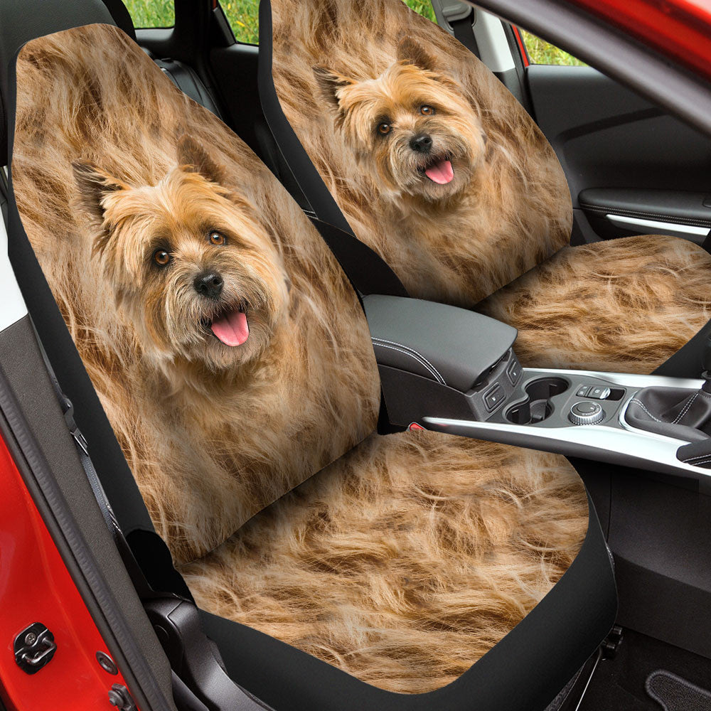 Cairn Terrier Dog Funny Face Car Seat Covers