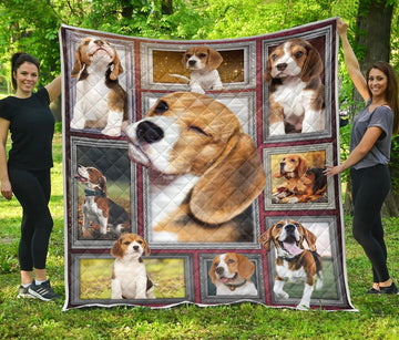 PF 3D Printed Beagle Premium Blanket & Quilt