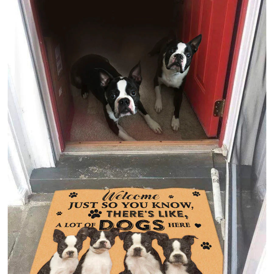 Dog Lovers Door Mat Boston Terrier A Lot Of Dogs Here