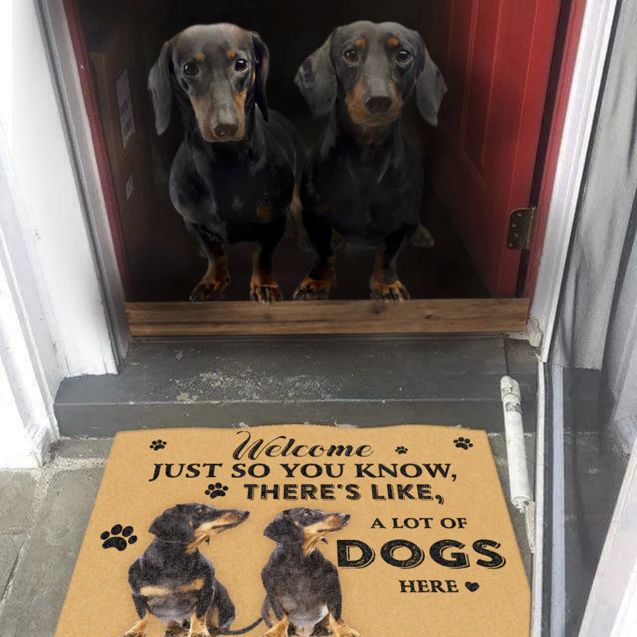 Dog Lovers Door Mat Dachshund A Lot Of Dogs Here
