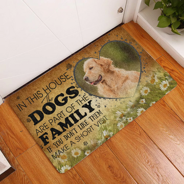 Dog Lovers Door Mat Labrador A Lot Of Dogs Here