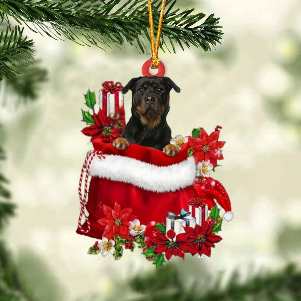 Rottweiler 2 In Gift Bag Christmas Ornament, Gift For Dog Lovers