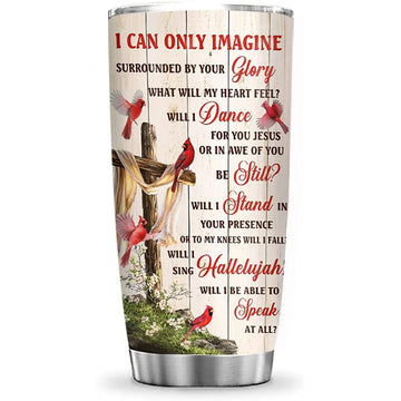 20oz Cardinal Bird Faith Imagine, Cardinal Bird Lovers, Cardinal Bird Tumbler Cup