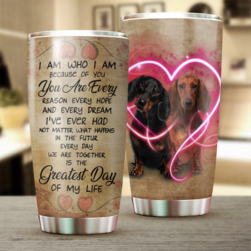 Dachshund Tumbler, Gift for Dachshund Lovers - 20 OZ Car Mug