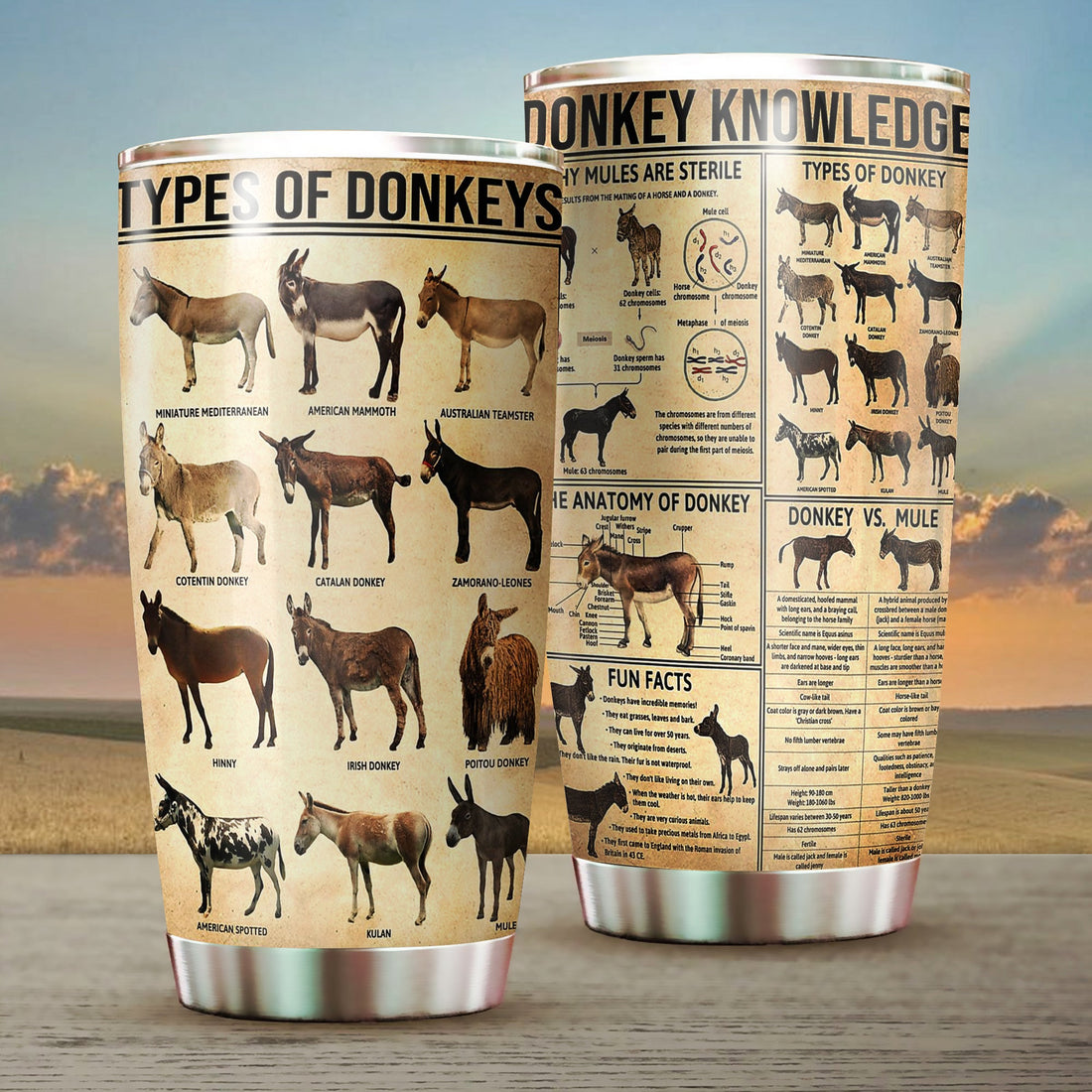 Donkey Tumbler, Gift for Donkey Lovers - TB362PA - BMGifts (formerly Best Memorial Gifts)