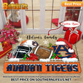 NCAA03-Auburn Tigers Football X-Mas Doormat - Custom name