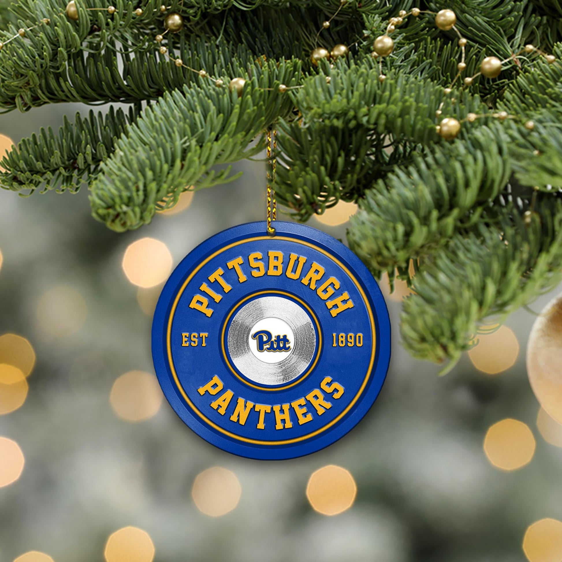 Pittsburgh Panthers Fitness Circle Aluminium Ornament 2 Side Trending New Arrivals H52883 ETUG311023