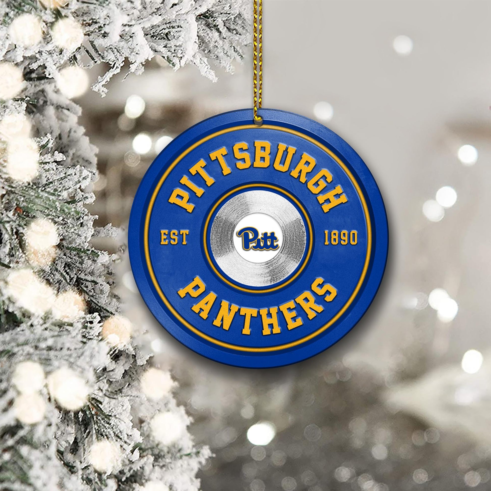 Pittsburgh Panthers Fitness Circle Aluminium Ornament 2 Side Trending New Arrivals H52883 ETUG311023