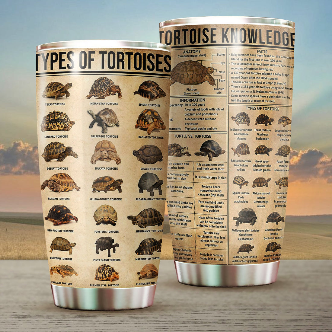 Turtle Tumbler -20 OZ Car Mug