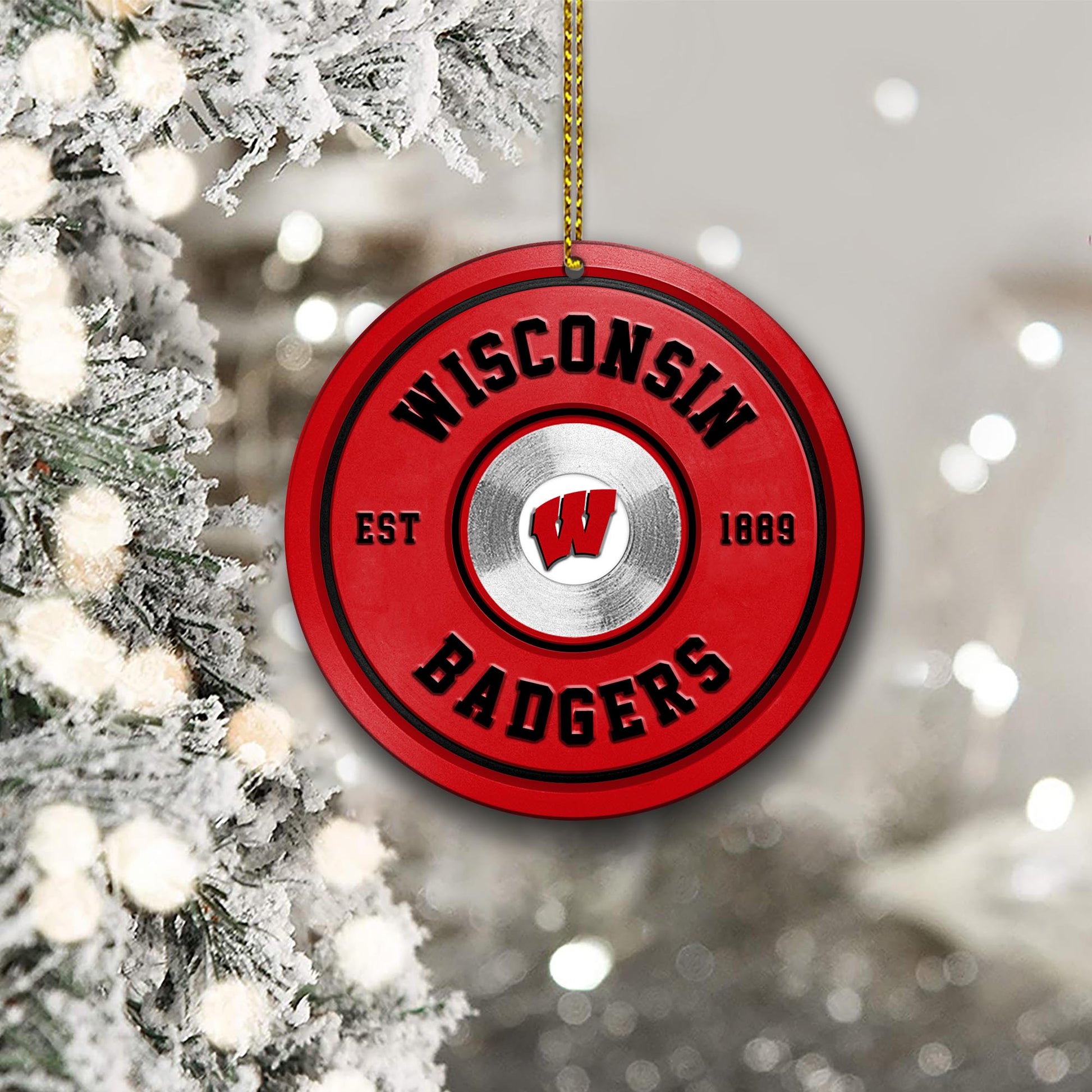 Wisconsin Badgers Fitness Circle Aluminium Ornament 2 Side Trending New Arrivals H52883 ETUG311023